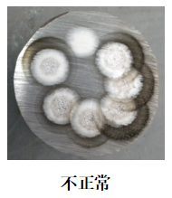1673965082897895.png